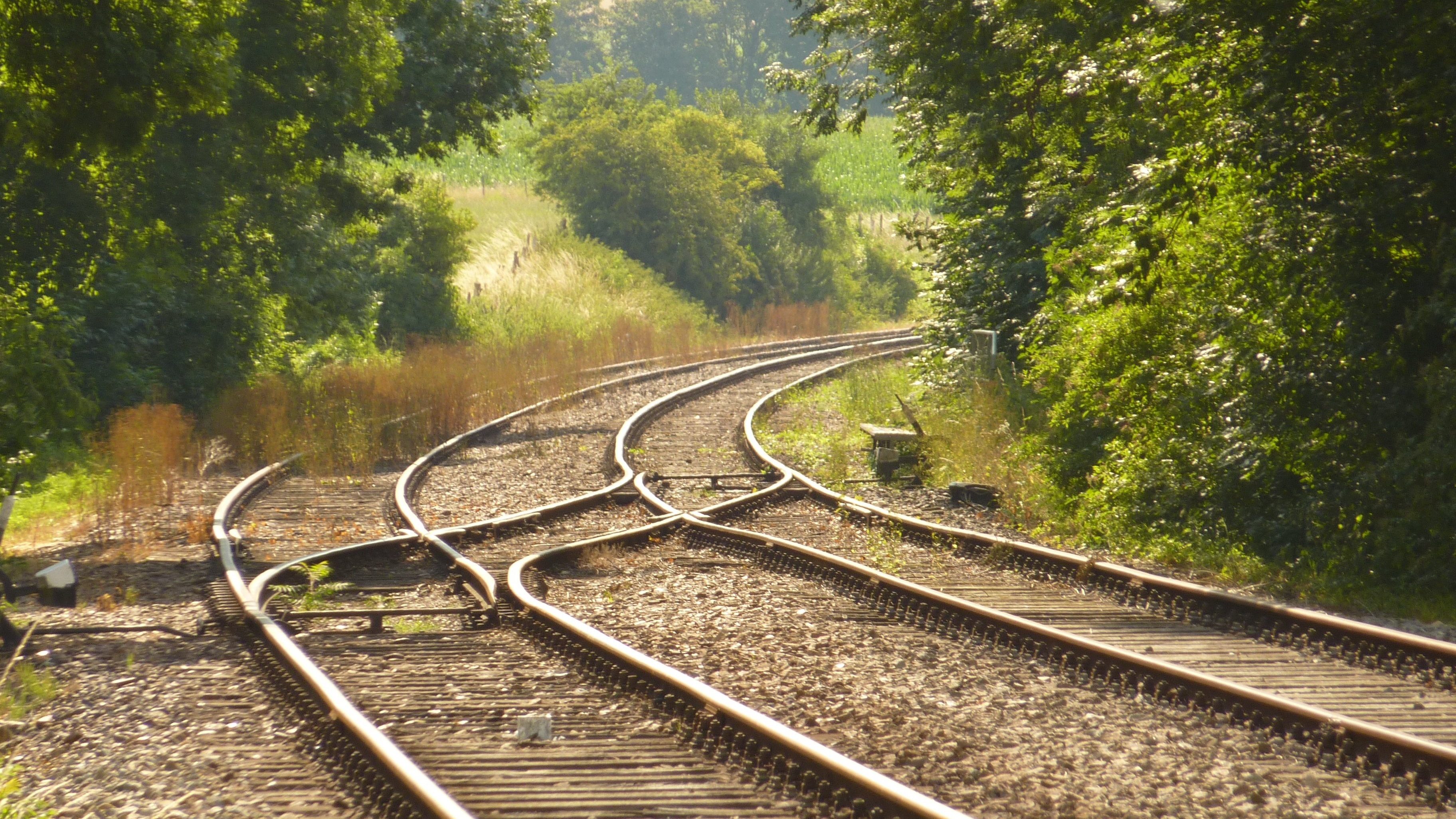 Am Scheideweg des Lebens